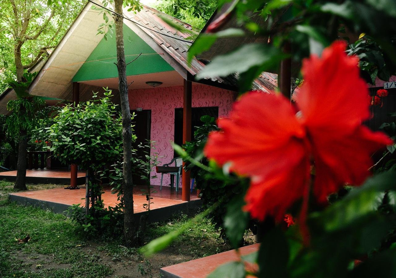 Coral Bungalows Haad Rin Extérieur photo